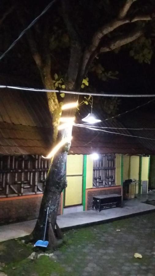 Gypsi Guest House Pangandaran Bagian luar foto